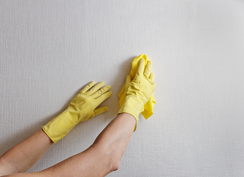 Cleaning Techniques for Painted Walls